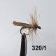Caddis Sedge Köcherfliegen in der gängigen Größe 14