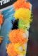 Turrall Blob Selection Blob-Kollektion zum Fischen auf Regenbogenforellen FinestFishingFlies
