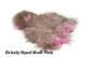 Whiting Spey SH/C Grizzly -Soft Hackle and Chickabou-