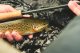 Guideline Embrace LIGHT TROUT Fly Fishing Outfit #5 9FT Das Fliegenfischer-Set mit den 24 fängigen Gratisfliegen und Nymphen in einer praktischen Fliegenbox.