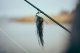 Guideline Embrace PREDATOR Fly Fishing Outfit #9 9FT Das Hecht-Fliegenfischer-Set mit den 6 fängigen Gratishechtfliegen in einer praktischen Fliegenbox.