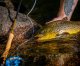 Vision Trout Hero II New2026 Die leistungsstarken, erschwinglichen Fliegenruten zum Forellenfischen.