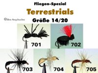 Terrestrials