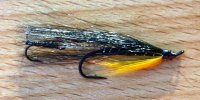 Black & Yellow #6 Flying TS Seatrout River & Stream
