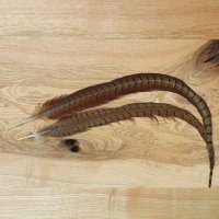 Veniard Pheasant Centre Tails Fasanenstoßfedern 2 Stück