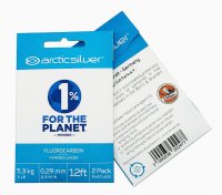 Arctic Silver Fluorocarbon Knotenlos Verjüngte Fliegenvorfächer 2 Stück