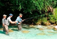 Praxis-Kurs: Fliegenfischen auf Forellen am Salmonidengewässer