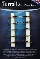Turrall Diawl Bach Selection Die Mückenpuppen-Kollektion FinestFishingFlies