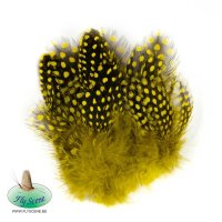 Strung Guinea Feathers Perl-Huhn Federn