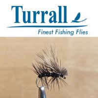 Elk Hair Caddis Sedge Gr.14 Black Traditionelle Trockenfliege von Turrall (England) Sonderpreis nur für kurze Zeit.