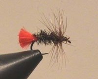 AS Dry Fly Red Tag Gr.18